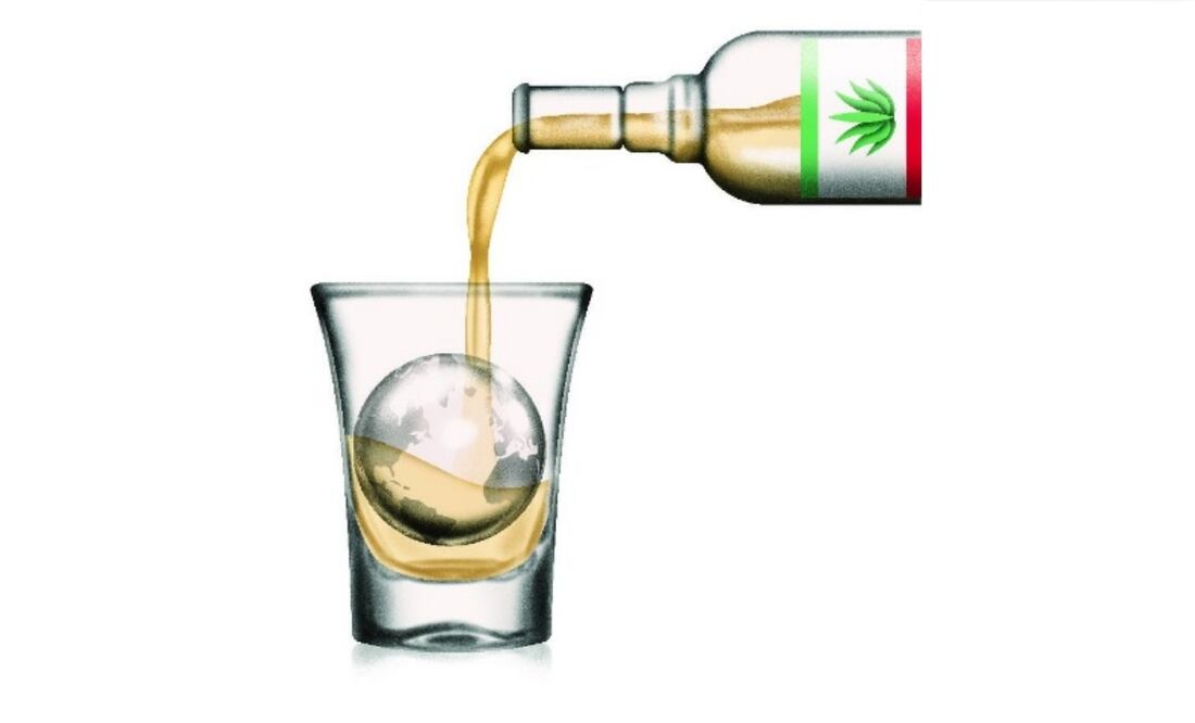 Ilustración: Ani Cortés