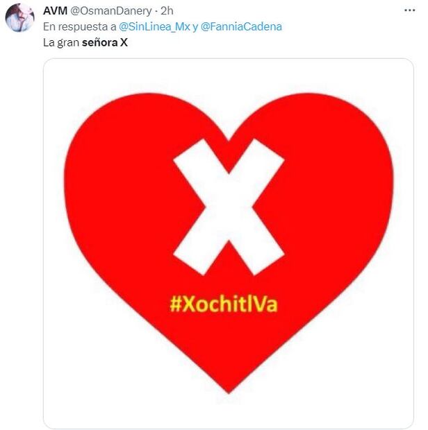 Surgen memes de Xóchitl Gálvez como "La Señora X"