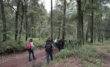 México, cuarto país más peligroso para defensores ambientales
