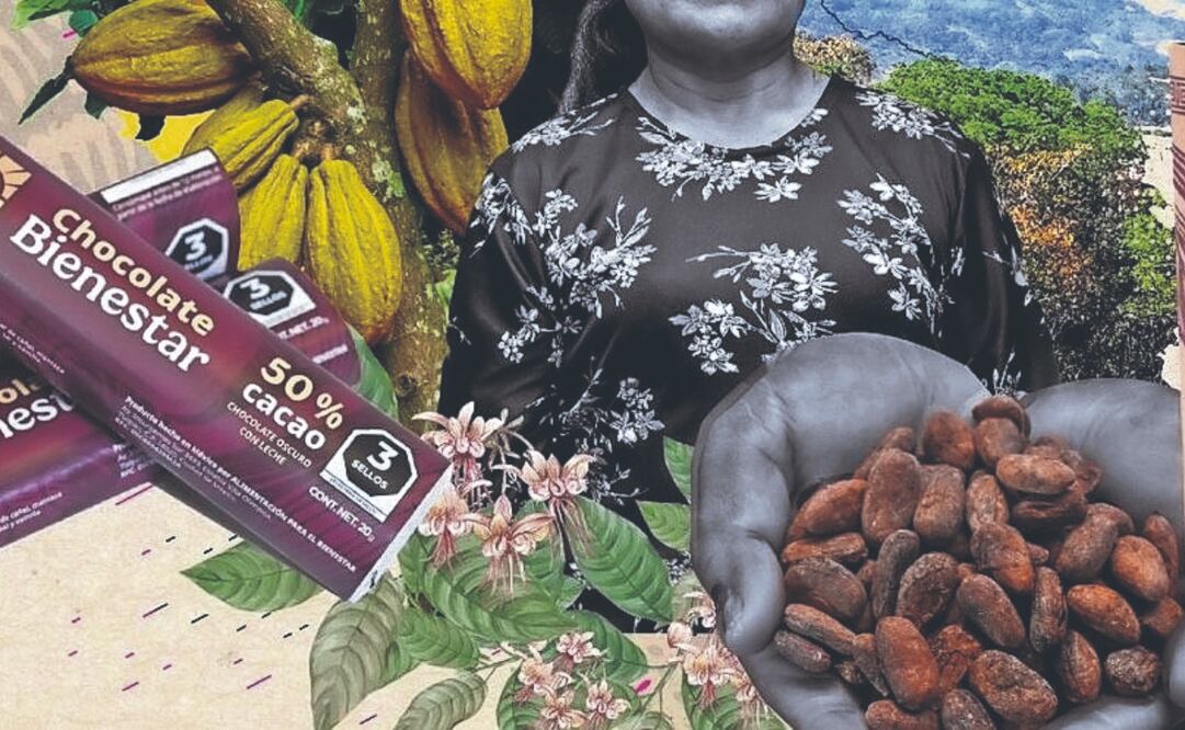 Se implementará una planta procesadora de cacao para los tres productos estrella de esta iniciativa: chocolate de mesa, de barra y en polvo.