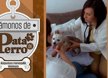 Vámonos de Pata de Perro. Homeopatía y acupuntura para tu mascota