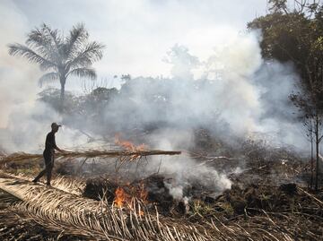 Evitar el calentamiento global implicará reducir en un 45% las emisiones de CO2 para 2030: expertos