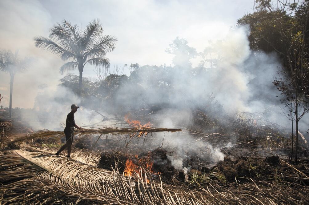Incendio en la Amazonía. Foto: El Universal - Brenno Carvalho / Agência O Globo 