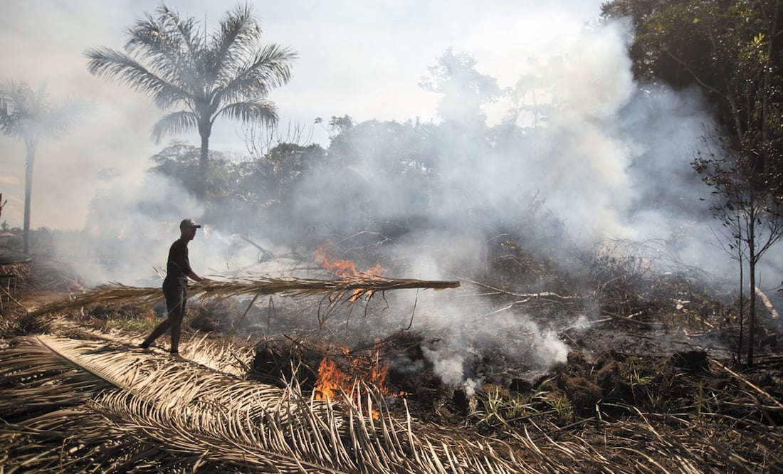 Incendio en la Amazonía. Foto: El Universal - Brenno Carvalho / Agência O Globo