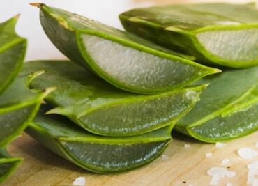 Haz crecer tu pelo en tiempo récord con aloe vera