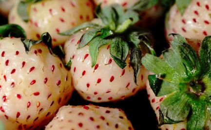 5 frutas que son caras y exclusivas