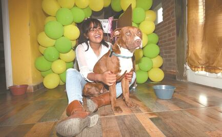 Cachorro Spay, del socavón a los brazos de su dueña