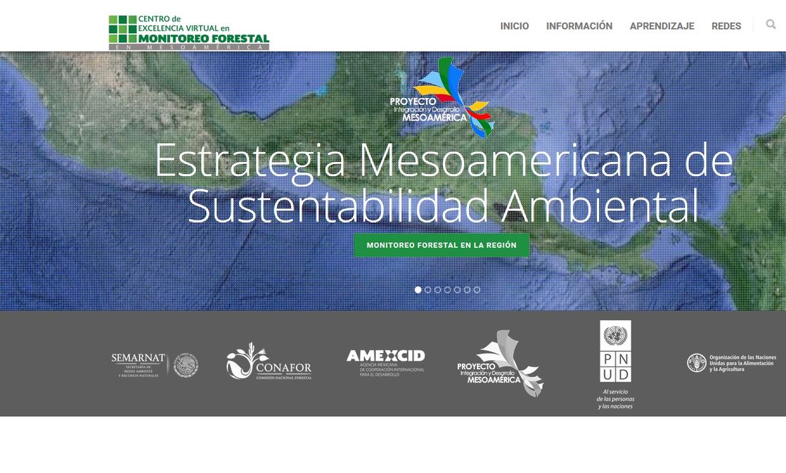 Imagen tomada de la página del Centro de Excelencia Virtual en Monitoreo Forestal en Mesoamérica
