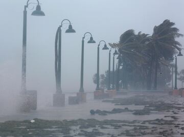 Entérate. ¿Cómo y quiénes nombran a los huracanes?