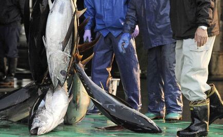 EU apela fallo de OMC sobre atún en disputa con México