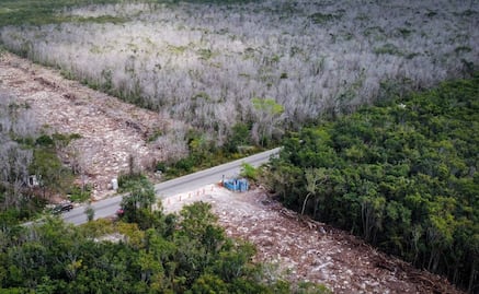 Alertan expertos riesgos por paso de Tren Maya