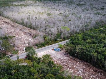 Alertan expertos riesgos por paso de Tren Maya