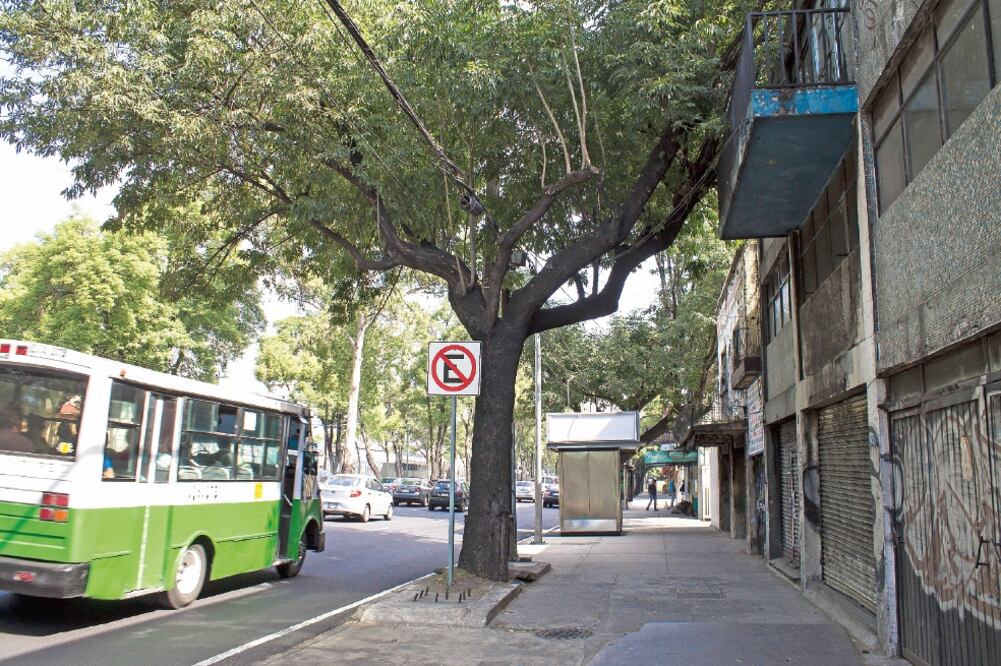 Los árboles que se encuentran en la acera cercana a Calzada de Tlalpan, entre otras vialidades, y que tienen contacto directo con las partículas que emanan los vehículos, están totalmente cubiertos de tizne. (ARELI MARTÍNEZ. EL UNIVERSAL)
