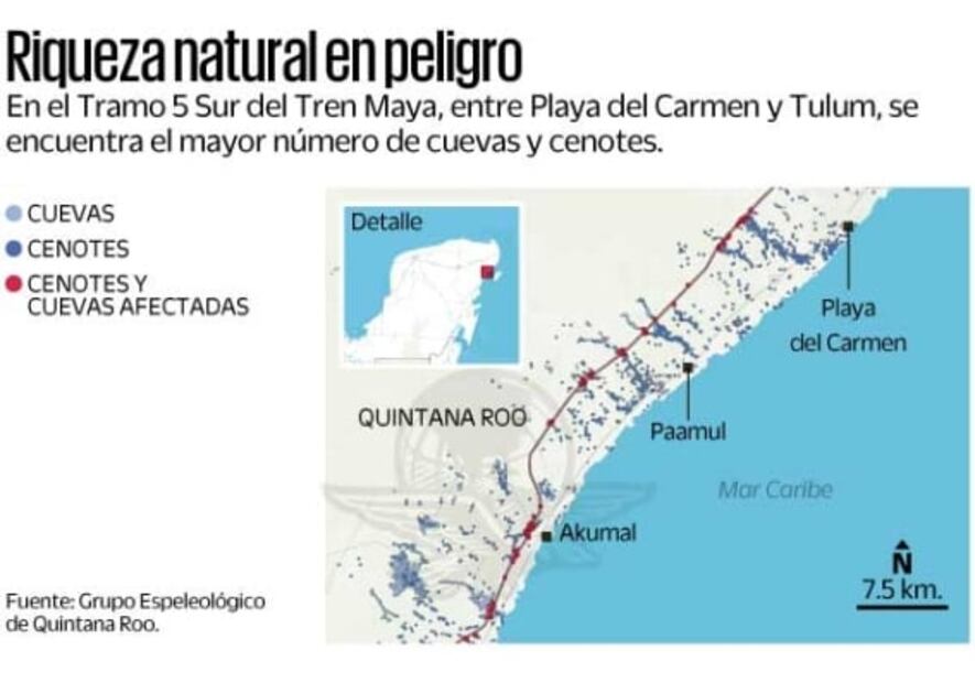 Tren Maya, trampa mortal para fauna, alertan