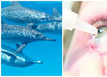 ¿Qué se celebra hoy, 23 de julio?; conoce las efemérides de este miércoles