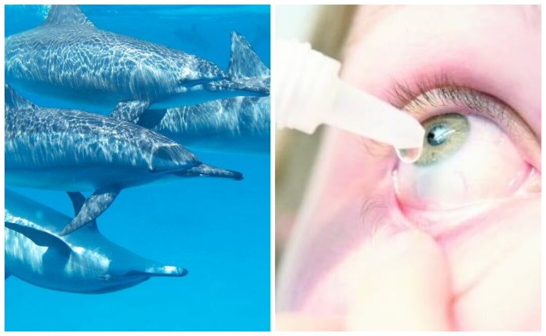 Conoce las efemérides de este miércoles