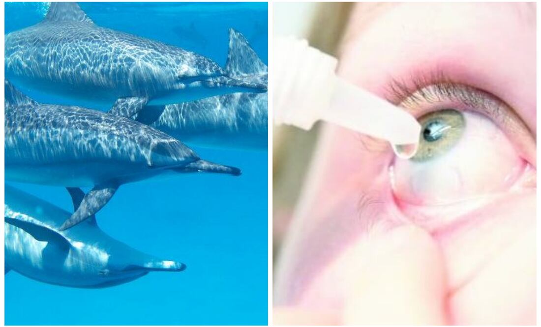 Conoce las efemérides de este miércoles