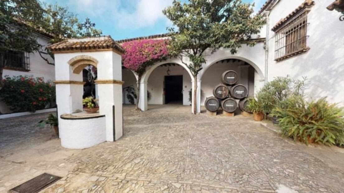 Descubre los mejores viñedos españoles en un tour virtual