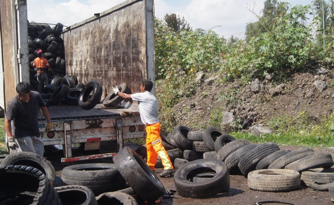 Recolectan más de 216 mil toneladas de basura en Xochimilco