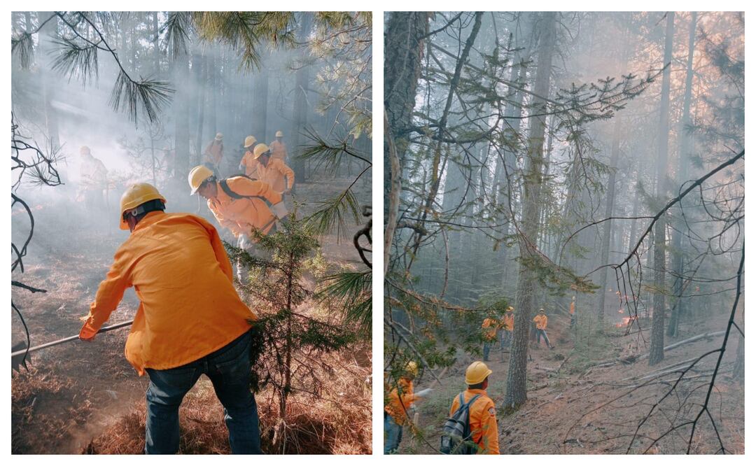 Más de 300 brigadistas combaten incendios forestales en Chihuahua; 17 focos activos en 8 municipios. Foto: Especial