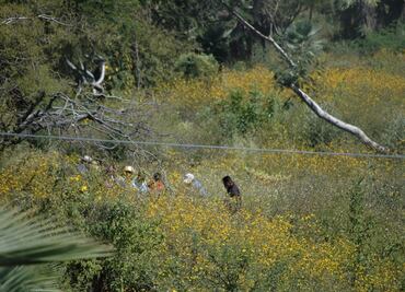 Lo que sabemos del feminicidio de niña de 4 años hallada semienterrada en canal de Guasave, Sinaloa