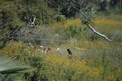 Lo que sabemos del feminicidio de niña de 4 años hallada semienterrada en canal de Guasave, Sinaloa