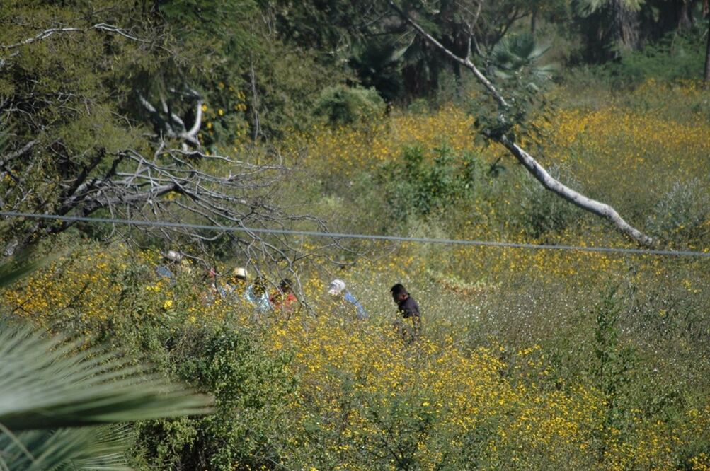 Explicó que algunos habitantes de la comunidad continuarán con el rastreo de cerros, pero es tarea del equipo de antropólogos forenses, médicos, agentes de la Policía Federal y perros entrenados para ubicar restos dispuesto para ese fin por la PGR. Foto: Dassaev Téllez/EL UNIVERSAL