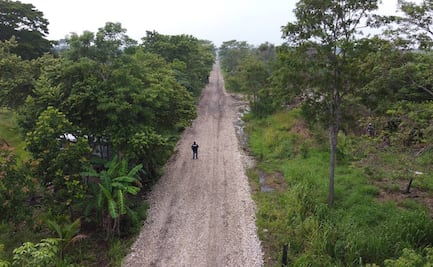 Senadores exigen que gobierno muestre estudios de impacto ambiental por el Tren Maya