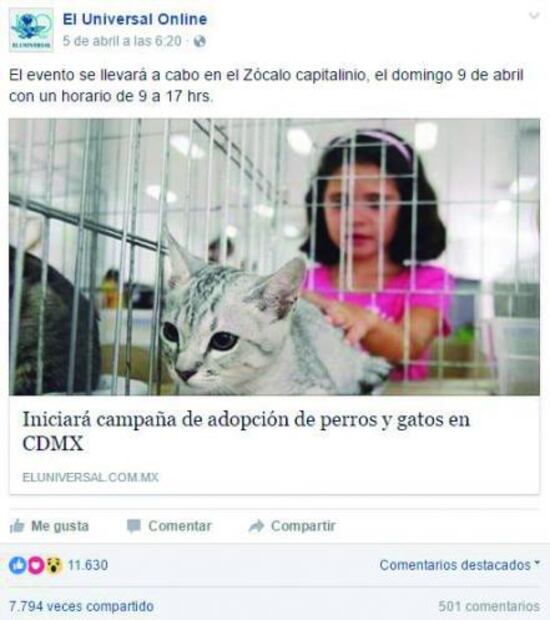 El Foco. La devastación del conflicto en Siria