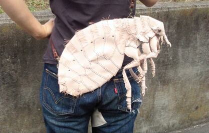 Bolsos con forma de insectos: la nueva locura de Internet