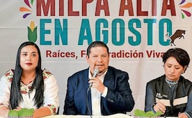 Sólo falta consultar al centro de Milpa Alta por Cablebús: edil