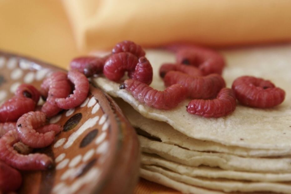 ¡Ahí vienen los escamoles y otras delicias!