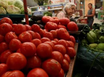 Jitomate hasta en 70 pesos el kilo en CDMX y Zona Metropolitana, reporta Profeco