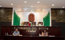 Ahora, asesora de diputada de Morena cuestiona derechos LGBTIQ+ en Chiapas; "somos dos géneros: hombre y mujer", dice
