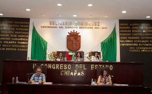 Chiapas deputy's advisor questions LGBTQ+ rights, citing 'two genders'