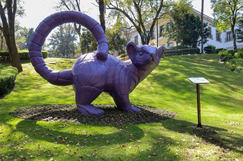 El Jardín Hondonada invita a visitantes locales, nacionales y extranjeros a relajarse y disfrutar del entorno. Foto: Gobierno de México