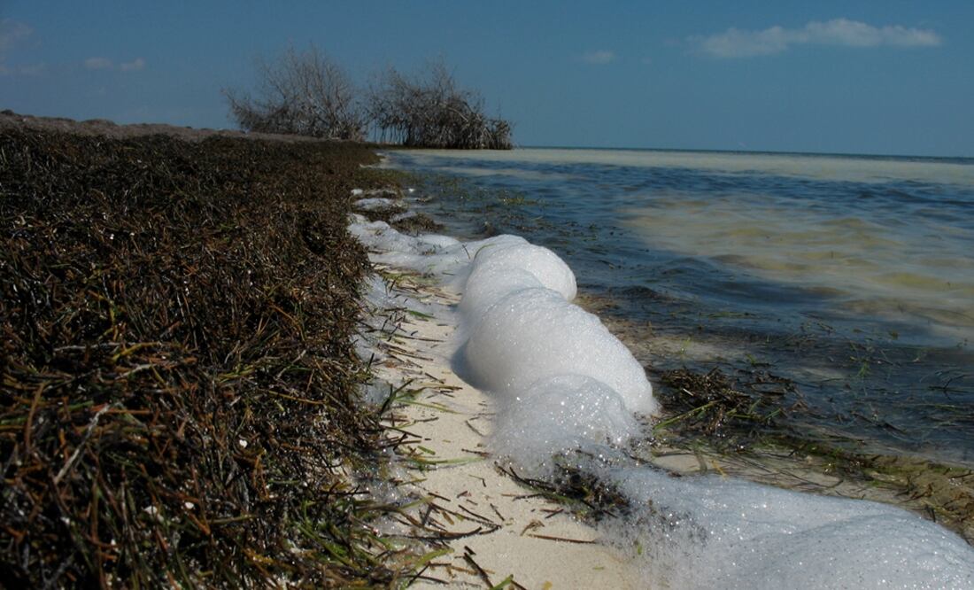 Al rescate de las especies microendémicas