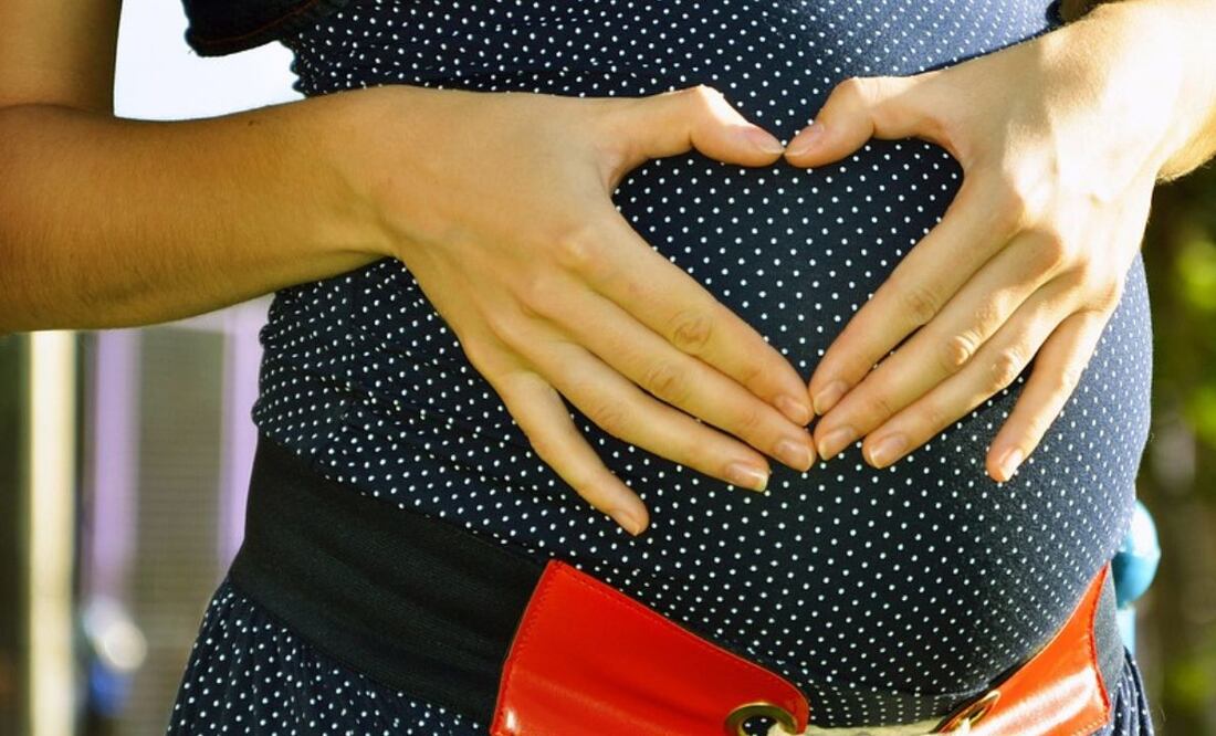 Embarazo. Fuente: Pixabay