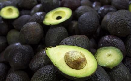 En primera semana de julio, aguacate mantiene su precio en mercados del país