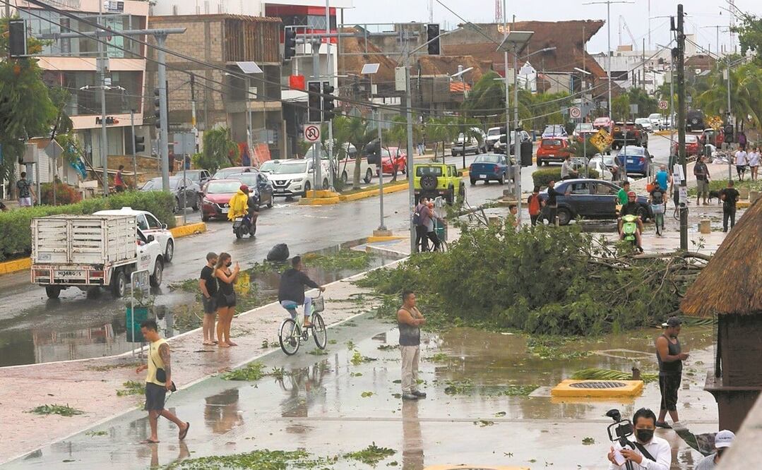 En Tulum se cayeron varios árboles a consecuencia de los fuertes vientos por el huracán.