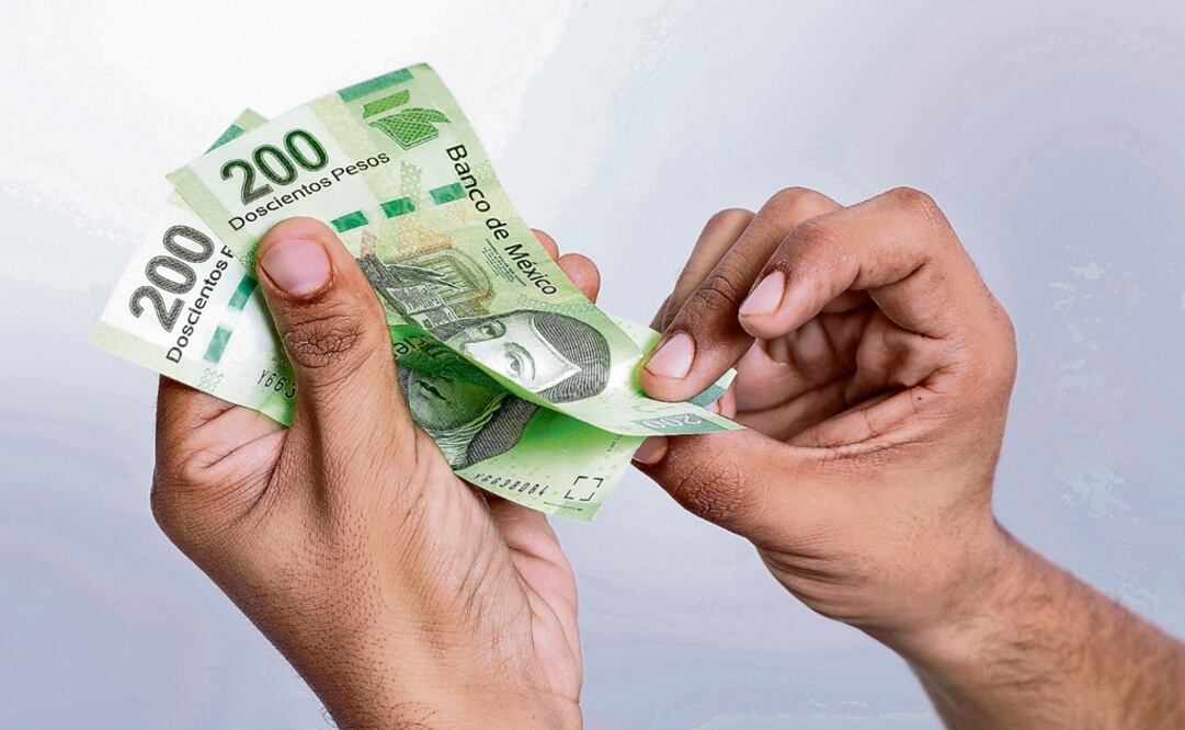 The Mexican Institute of Public Accountants (IMCP) considered that the list of requirements to access the tax relief was excessive - Photo: Yadin Xolalpa/EL UNIVERSAL