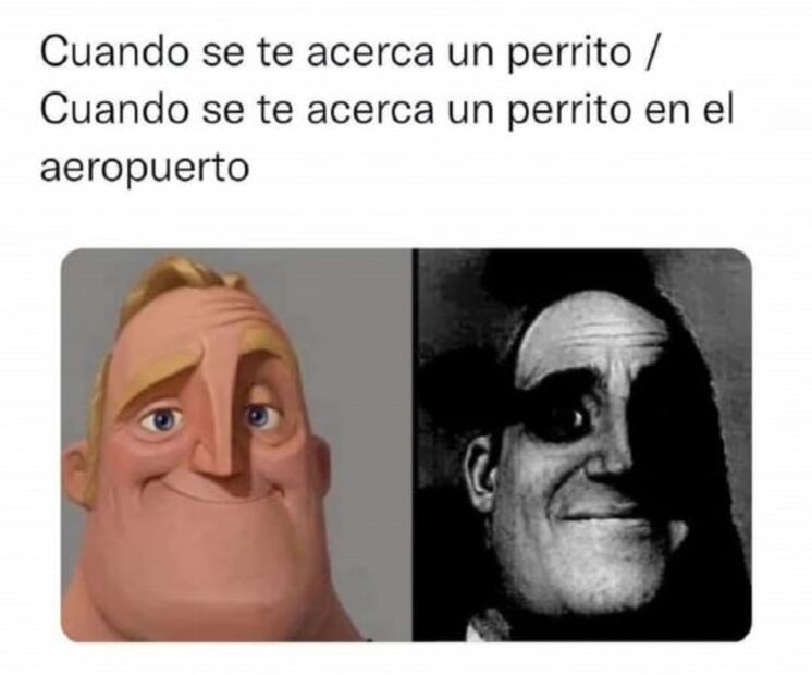 Recuento de los mejores y más divertidos memes que nos dejó el 2021