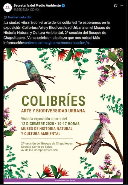 Foto: Captura de pantalla en X