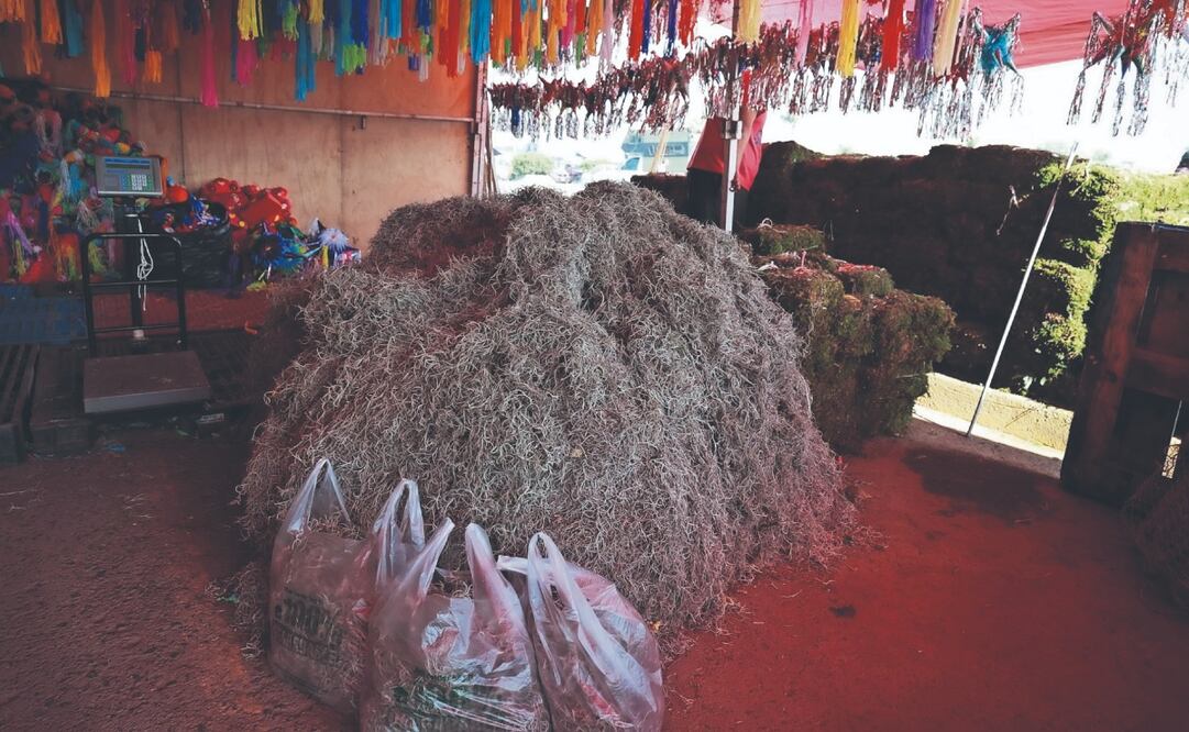 La extracción del heno comienza desde el 20 de noviembre hasta el 27 de diciembre, cada año. Foto: de ALEJANDRO VARGAS. EL UNIVERSAL