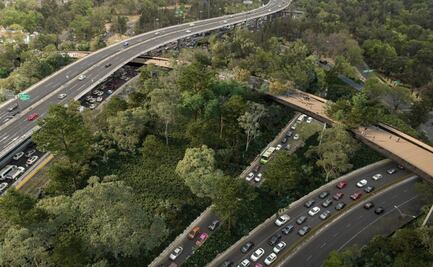 ¿Por qué salió Romano de Chapultepec?