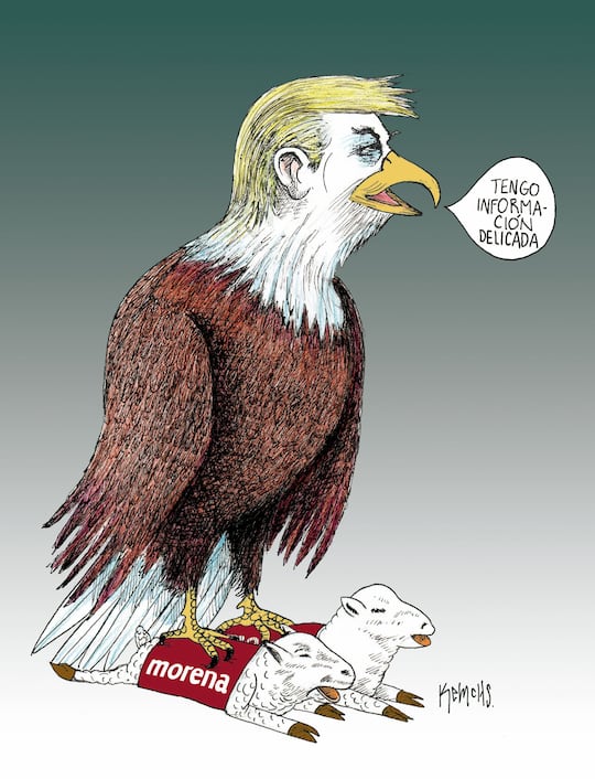Cartón de KEMCHS