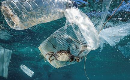 Fondo del mar tiene hasta 14 millones de toneladas de microplásticos