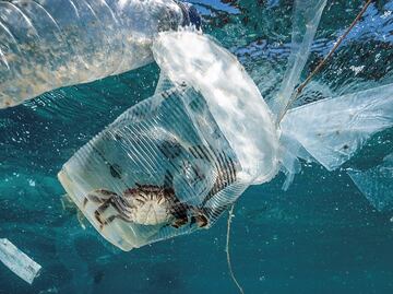 Fondo del mar tiene hasta 14 millones de toneladas de microplásticos