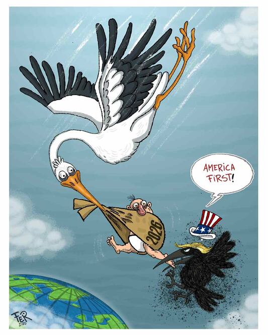 Cartón de FER
