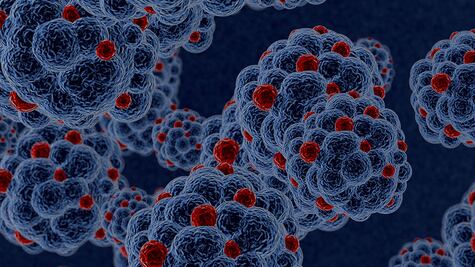 VIH: las lecciones de otro virus